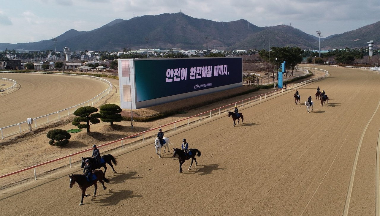 렛츠런파크 부산경남 경마장 전광판에 안전문화 실천 문구가 게시돼 있는 모습. [사진=렛츠런파크 부산경남]