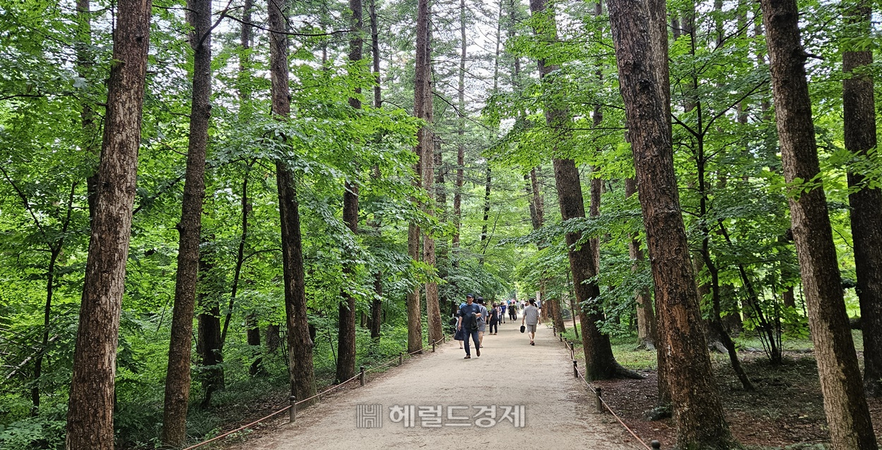 호랑이와 새가 완성했다는 신비의 법당…사시사철 매력적인 내소사 [정용식의 내 마음대로 사찰여행 비경 100선]