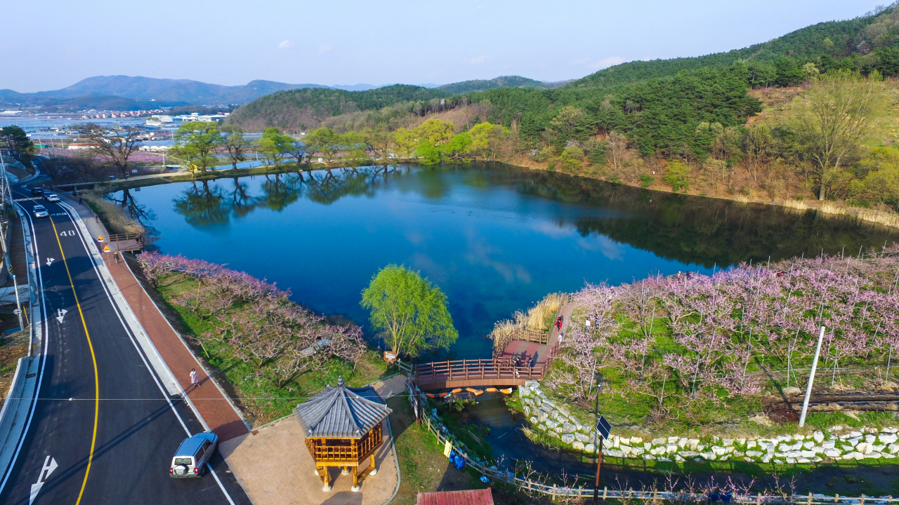 경산 반곡지 전경.[경산시 제공]