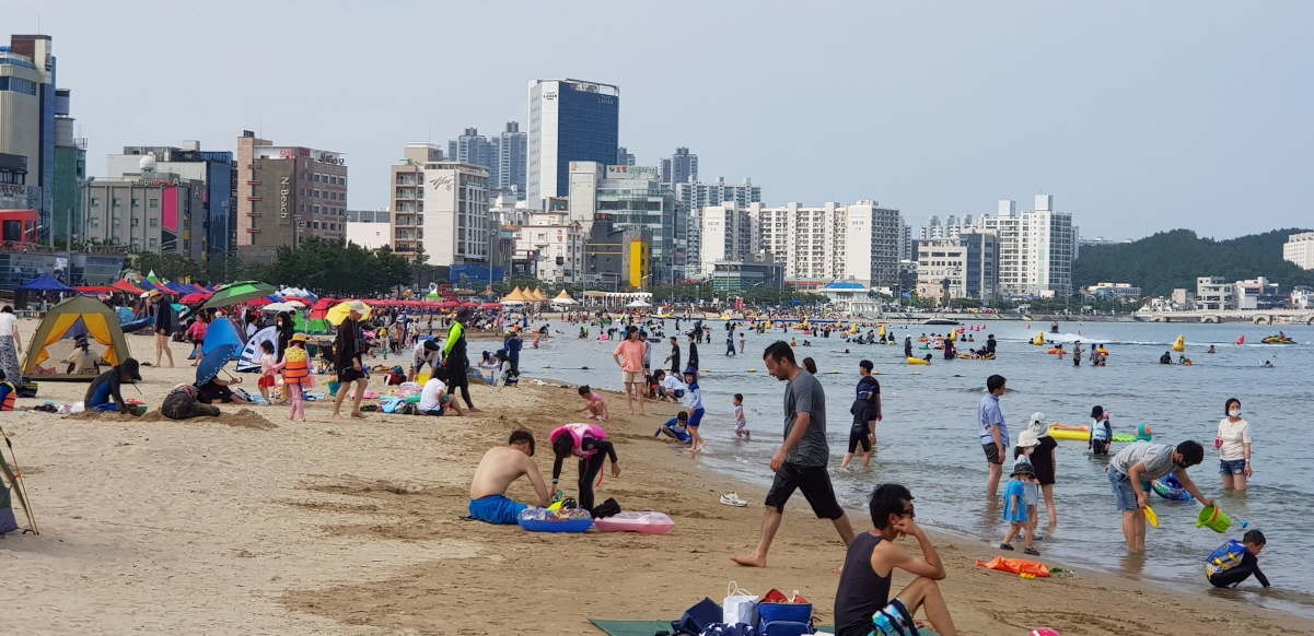 [포항시 제공]