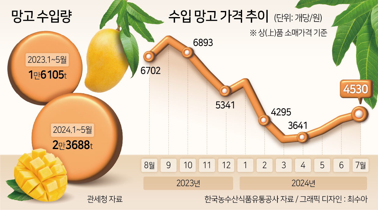 대체과일 너마저, 망고의 배신 [푸드360]