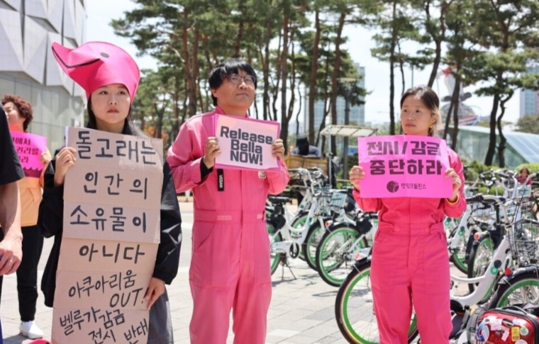 “날 쳐다봤어! 안녕” 귀여운 돌고래…사실 화내는 거라니 [지구, 뭐래?]