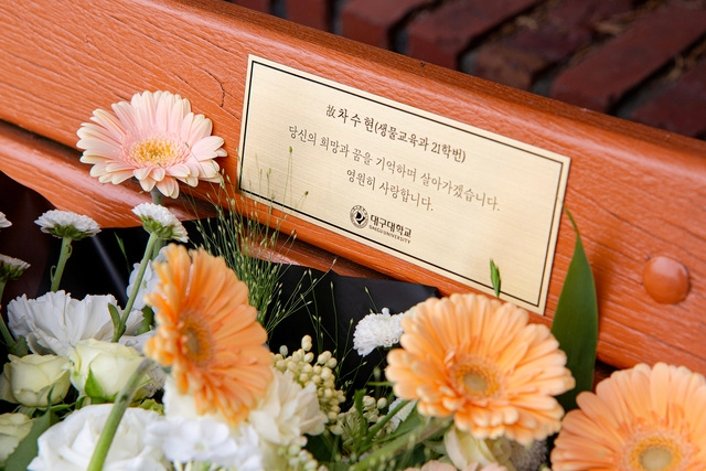 故 차수현 학생을 추모하는 문구가 대구대 사범대학 건물과 근처 벤치에 새겨진 모습. [대구대]