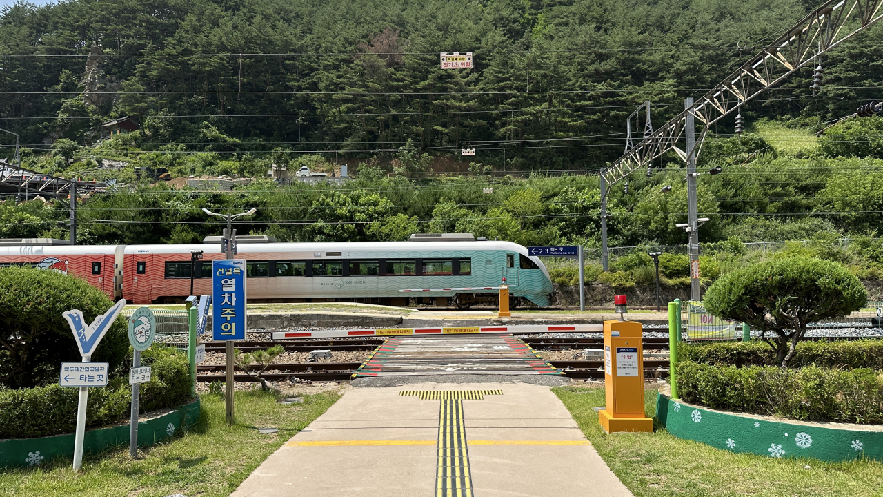 청량한 청량산과 함께 봉화 7,8월의 크리스마스를..[함영훈의 멋·맛·쉼]