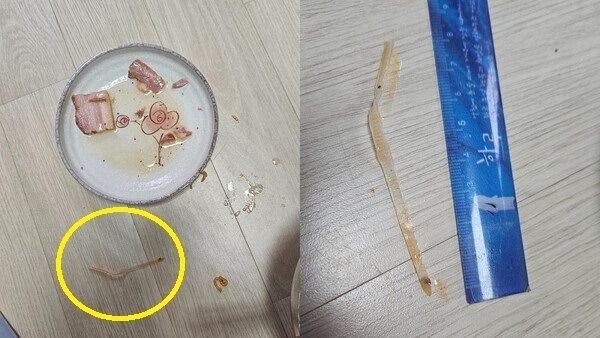 [온라인 커뮤니티]