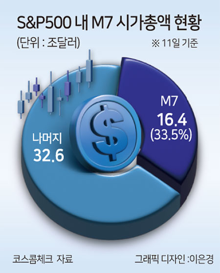 “잘 나가던 M7, 왜 그럴까”…그래도 S&P500 내 비중 33%나 되네 [투자360]