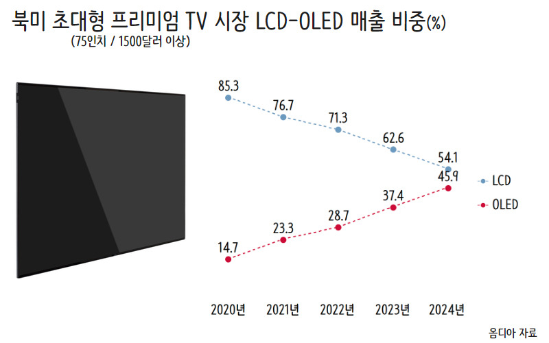 “미국이 먼저 알아봤다” TV 시장 OLED로 ‘세대교체’ 신호탄 [비즈360]