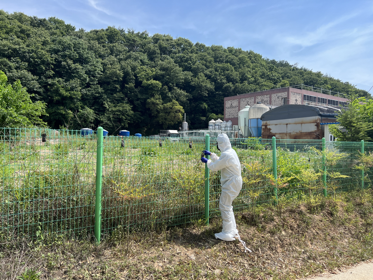 경북도, ' 아프리카돼지열병' 차단 위해 멧돼지 기피제 긴급 지원