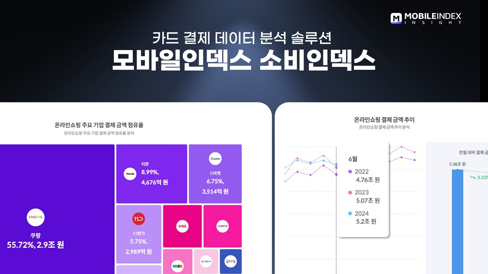 아이지에이웍스의 카드 결제 데이터 분석 솔루션 ‘소비 인덱스’. [아이지에이웍스 제공]
