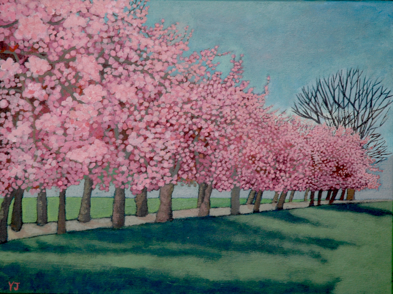 벚꽃의 합창 (Cherry blossom Avenue I),Acrylic on canvas, 30x40cm, 2024