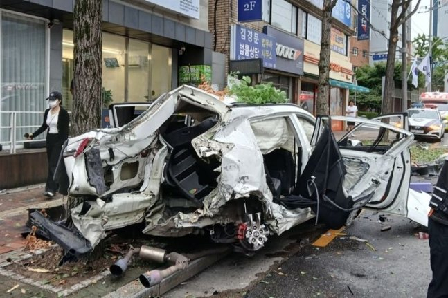 10대 무면허 음주운전자, 가로수 들이받고 도주하다 검거