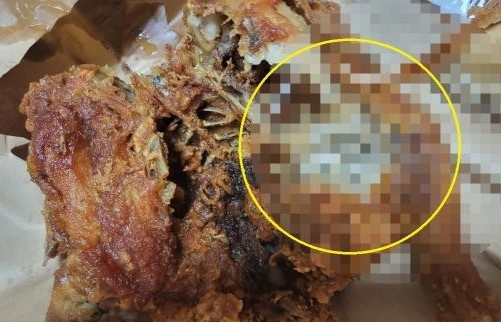 [온라인 커뮤니티 보배드림 캡처]