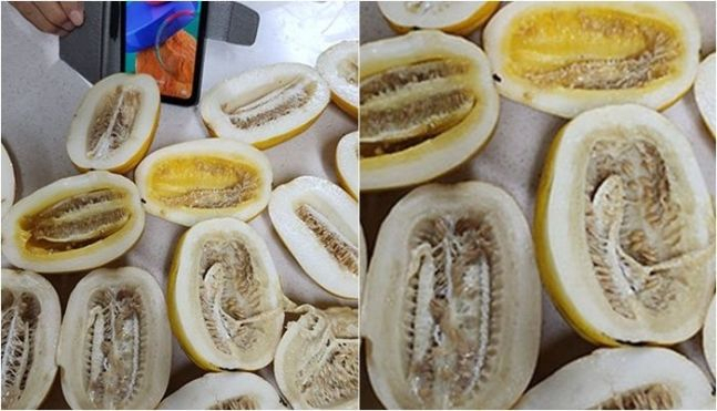 제주 오일장에서 산 참외를 반으로 가른 모습. [온라인 커뮤니티]