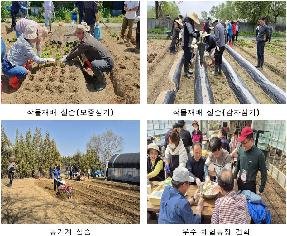 [서울시 제공]