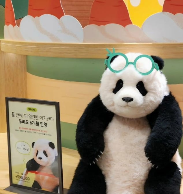에버랜드 판다월드샵에서 59만원에 판매하고 있는 푸바오 6개월 인형. [인스타그램]