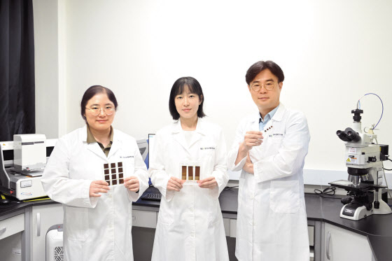초고민감도 혈액 내 암 돌연변이 유전자 검출 기술을 개발한 한국재료연구원 연구팀. 왼쪽부터 이지영·이민영·박성규 박사 [한국재료연구원 제공]