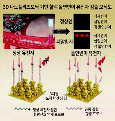 3차원 나노플라즈모닉 기반 혈액 내 돌연변이 유전자 검출 기술 모식도[한국재료연구원 제공]