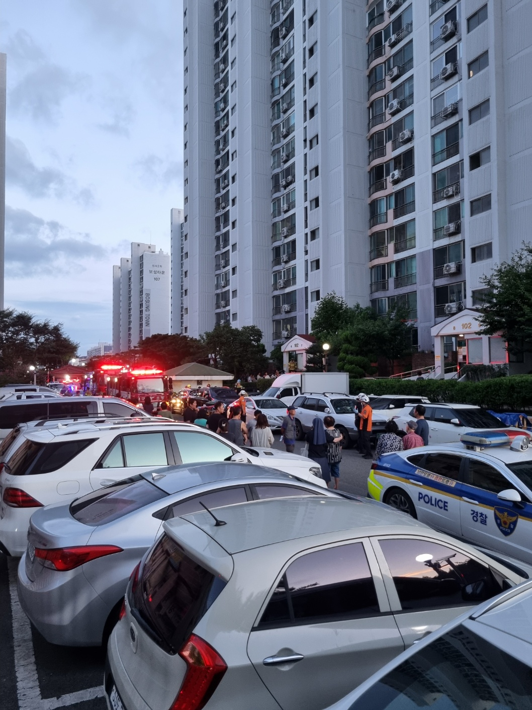 [대구소방안전본부 제공]