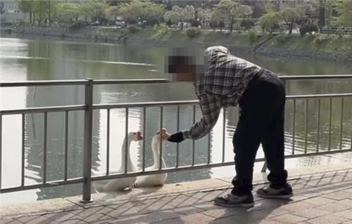 [동물자유연대 홈페이지]