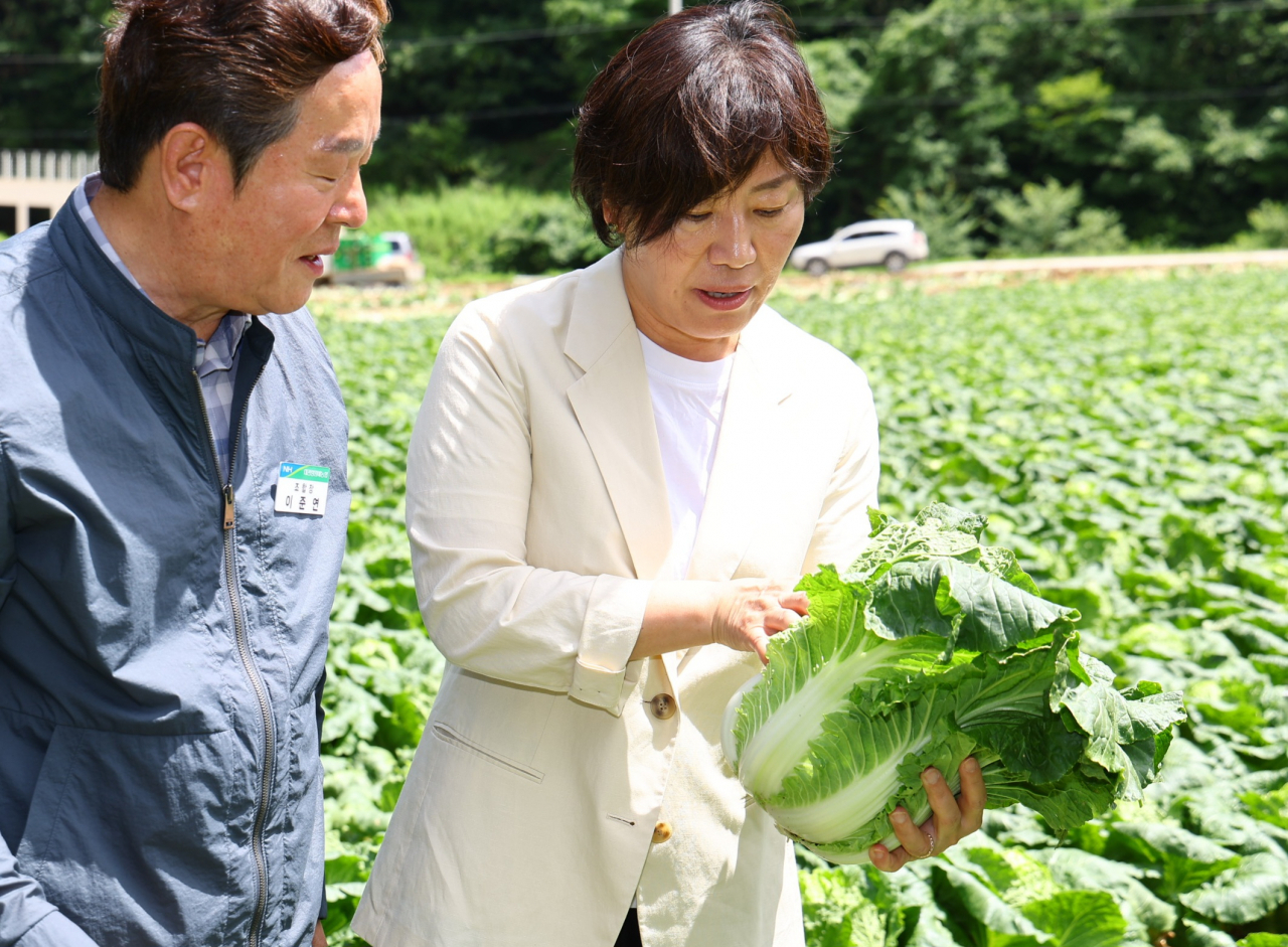 송미령 농림축산식품부 장관이 26일 강원 평창군 여름배추 재배 농가를 방문해 생육 상황을 점검하고 있다. [연합]