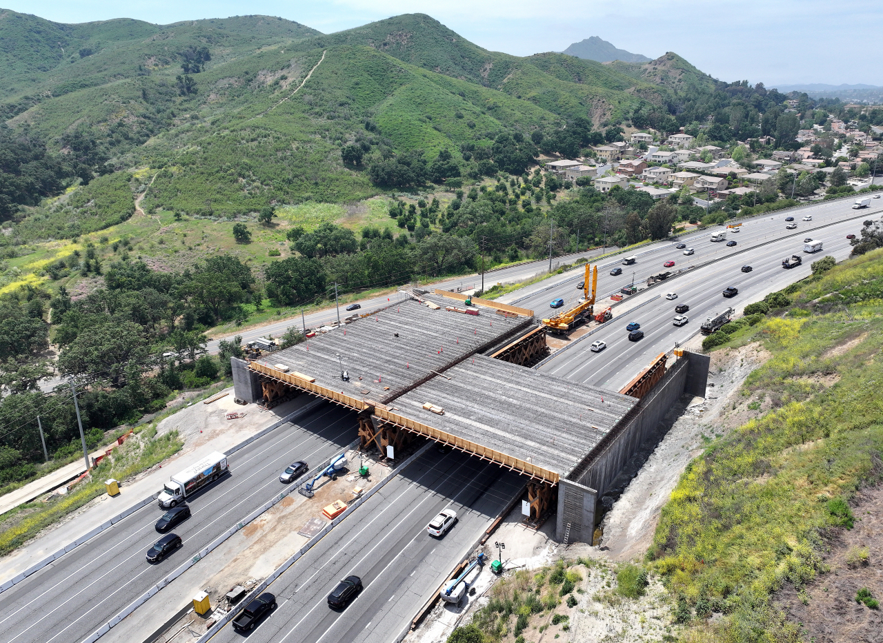 An aerial view of construction of the Wallis Annenberg Wildlife Crossing over the 101 Freeway on May 13, 2024 in Agoura Hills, California. The crossing outside of Los Angeles will provide a safe passage for wildlife, including the threatened local population of mountain lions, across the 10-lane freeway while connecting protected areas in the Santa Monica Mountains and the Sierra Madre Range. The 165-foot wide crossing, scheduled to be completed in 2026, will blend into the surroundings and allow wildlife to roam above the busy freeway where up to 300,000 vehicles pass daily.