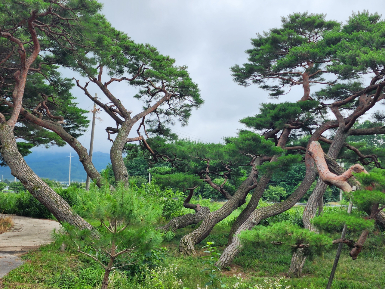 춘향의 치마폭을 나온 남원, 예술과 자연 속으로[함영훈의 멋·맛·쉼]