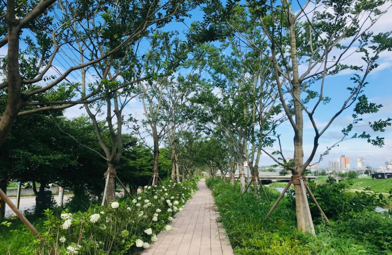평택바람길 숲[경기도 제공]