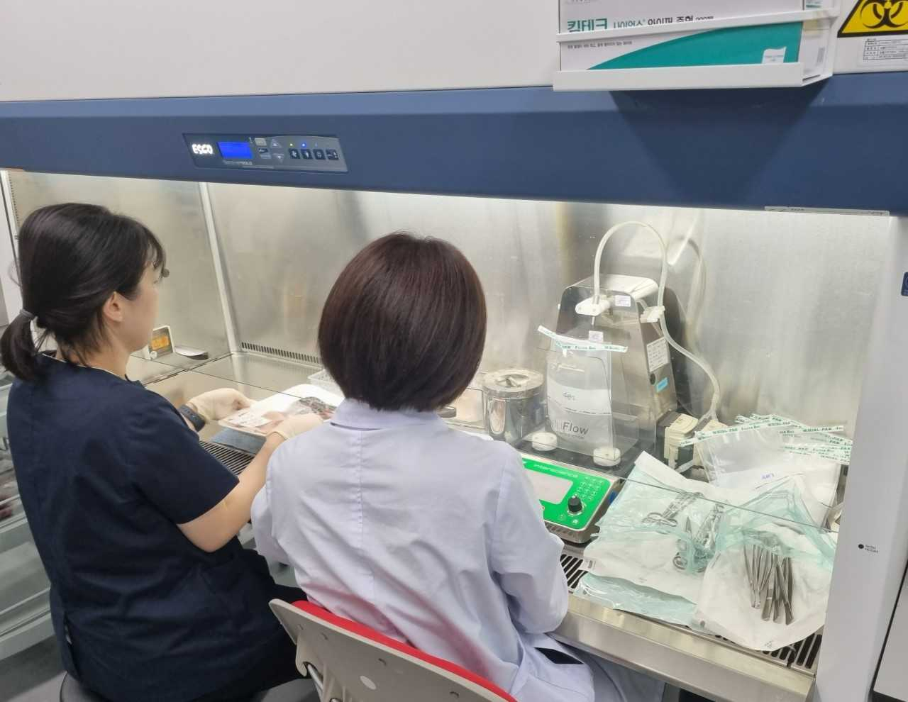 광주광역시보건환경연구원은 광주지역 유통 수산물과 해수(수족관수)에서 비브리오균 검출률이 상승하고 있어 수산물 섭취에 각별한 주의가 필요하다고 당부했다.