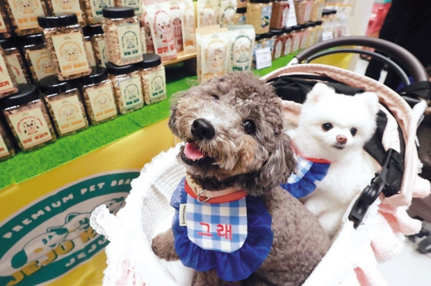 2023년 서울 코엑스에서 열린 반려동물 산업 전시회 모습 [연합]