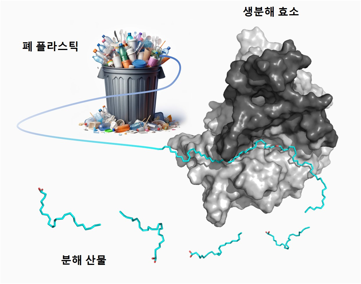 효소에 의한 폴리에틸렌 생분해 기작 분석.[KIST 제공]