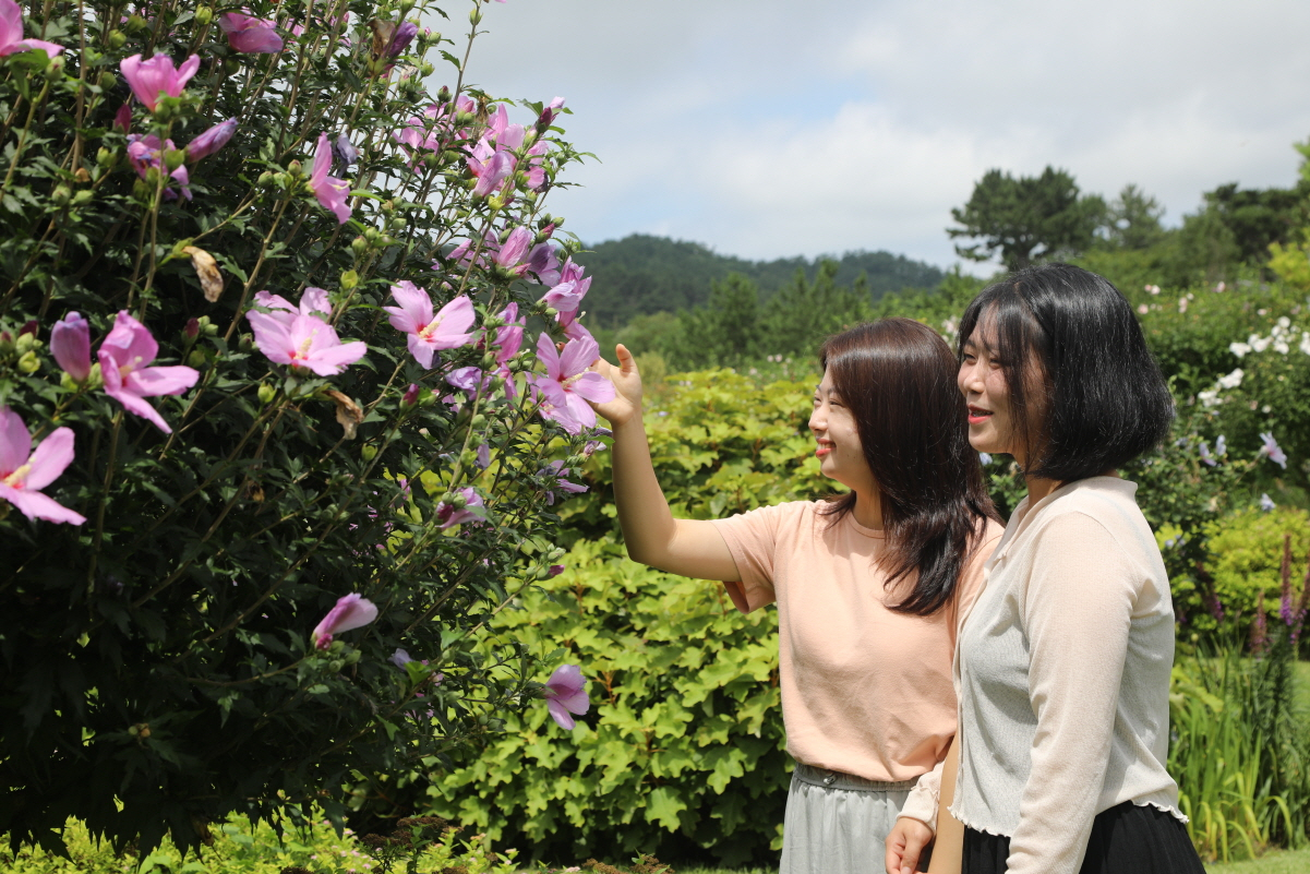 천리포수목원 무궁화동산
