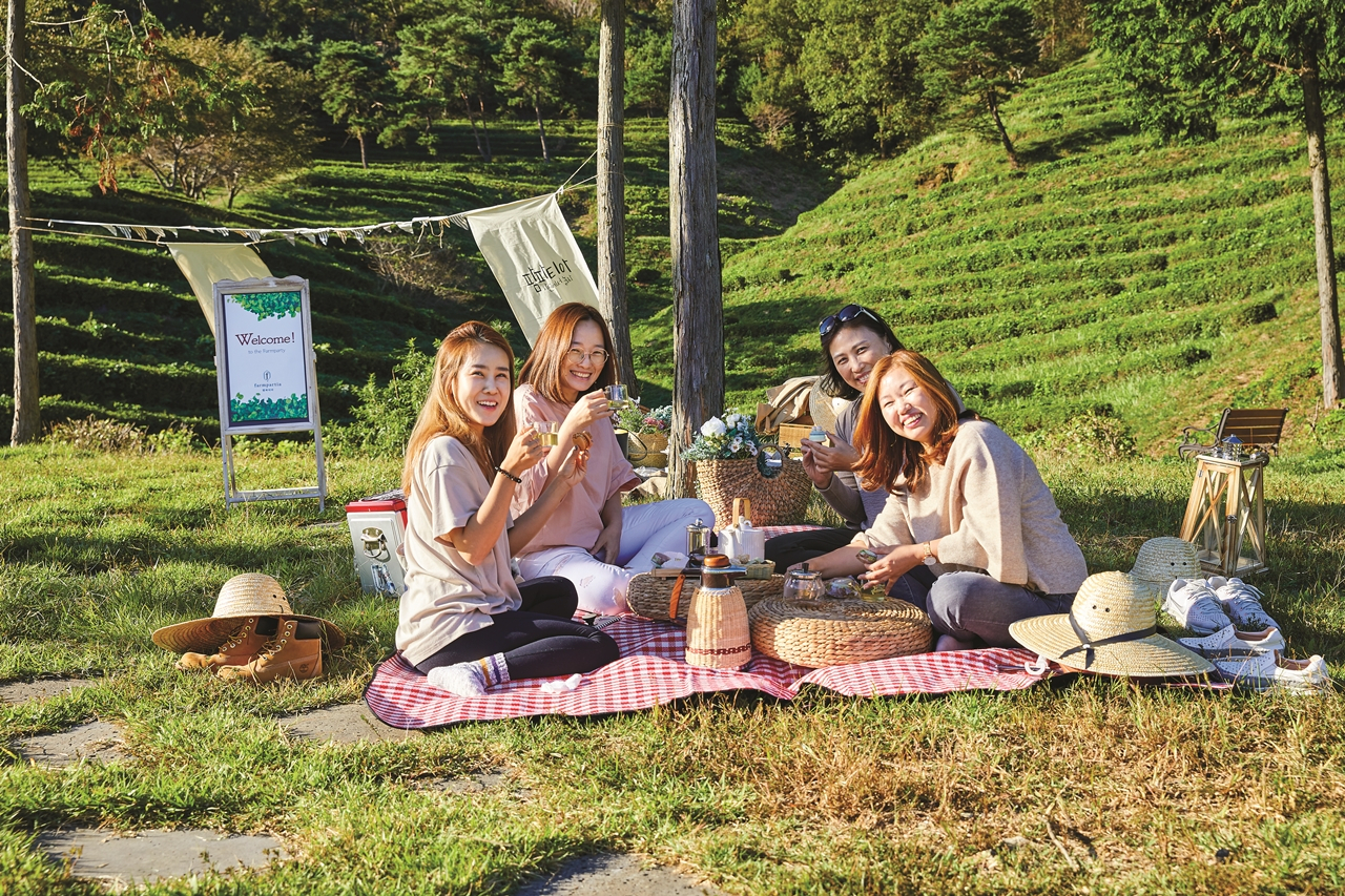 보성차밭 피크닉