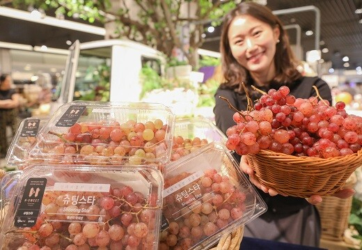 지난해 추석 시즌 현대백화점 무역센터점에서 판매된 ‘슈팅스타 포도’. [현대백화점 제공]