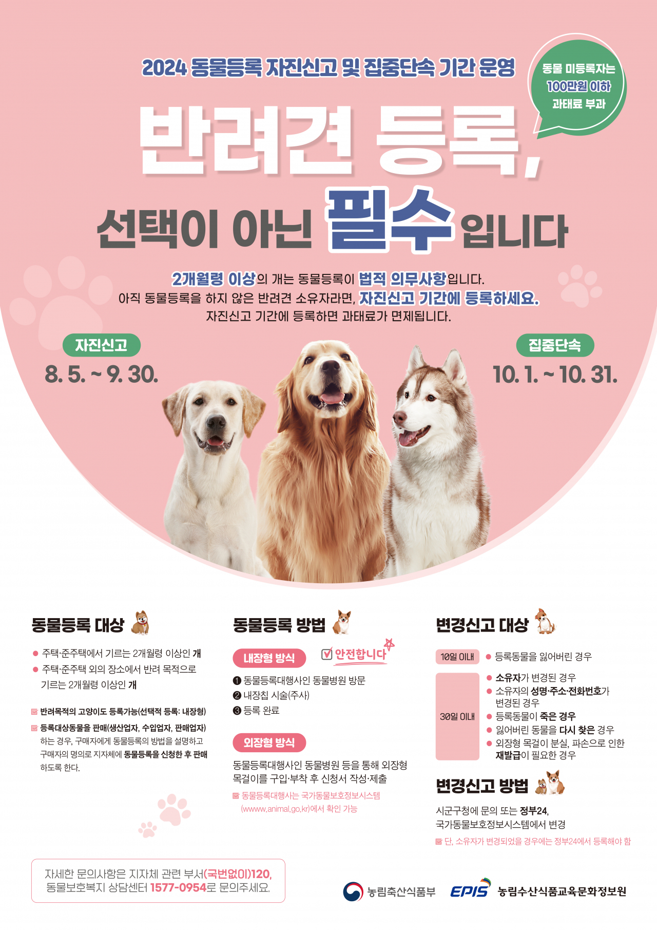 동물 등록 자진 신고 포스터