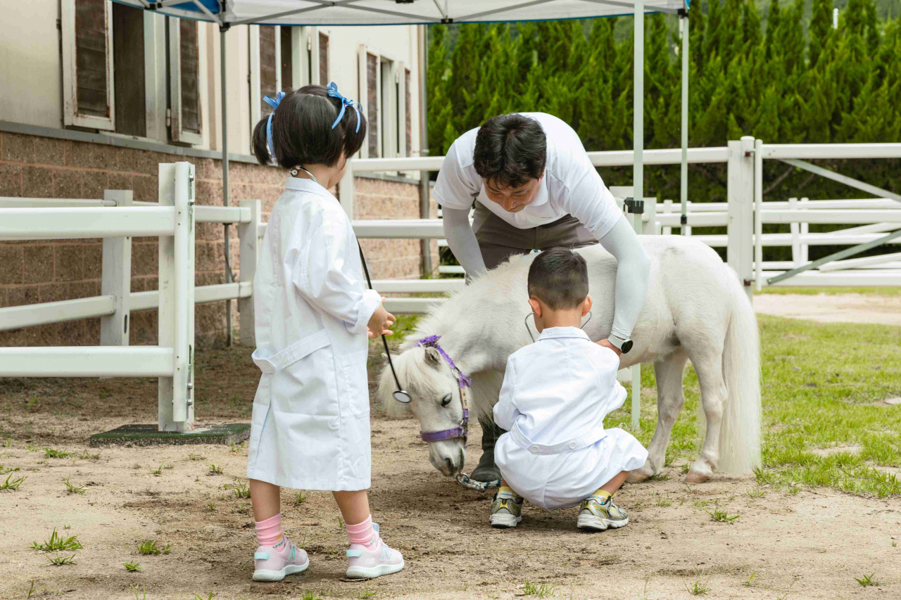 어린이들이 청진기를 이용해 말의 심장소리를 듣고 있다. [사진=렛츠런파크 부산경남]