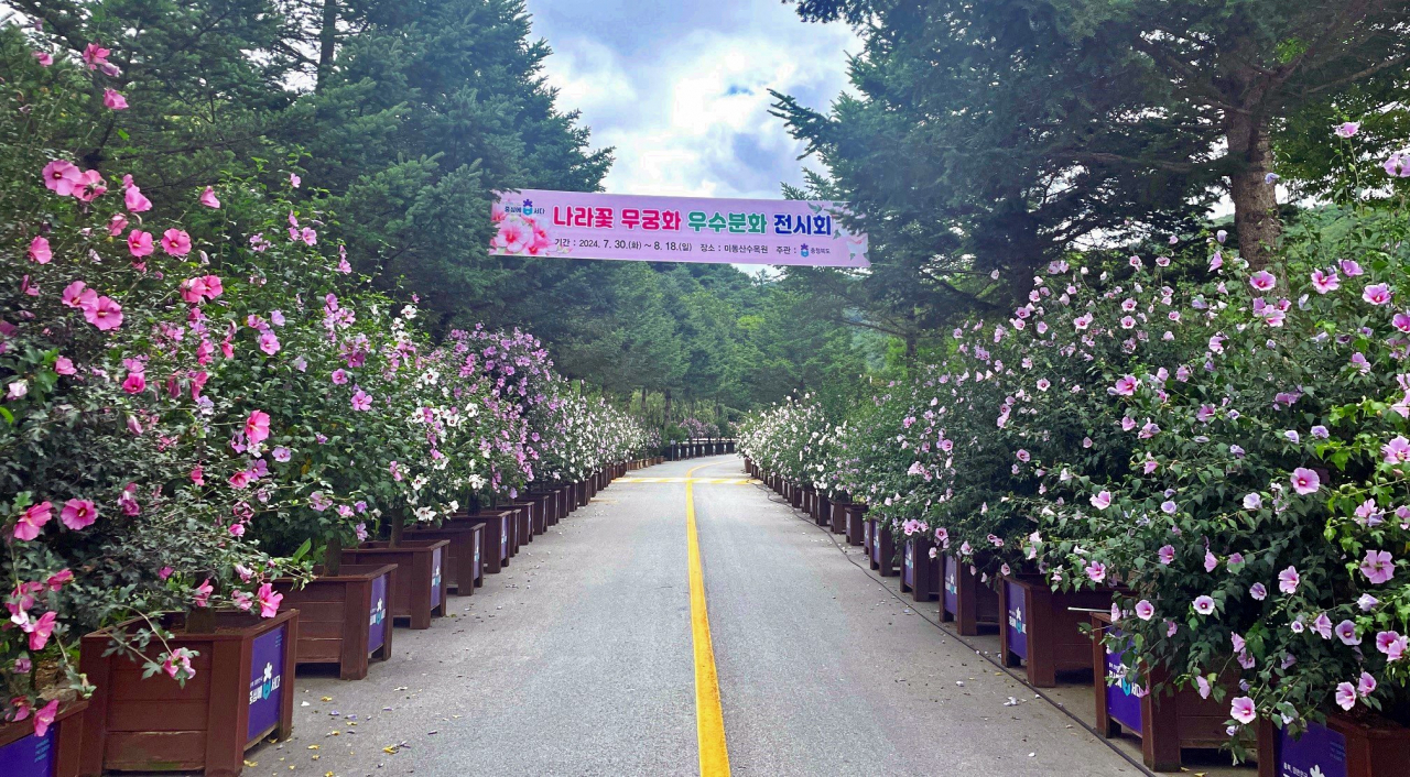 Mugunghwa trail at Midongsan Arboretum in Cheongju, North Chungcheong Province (Korea Forest Service)