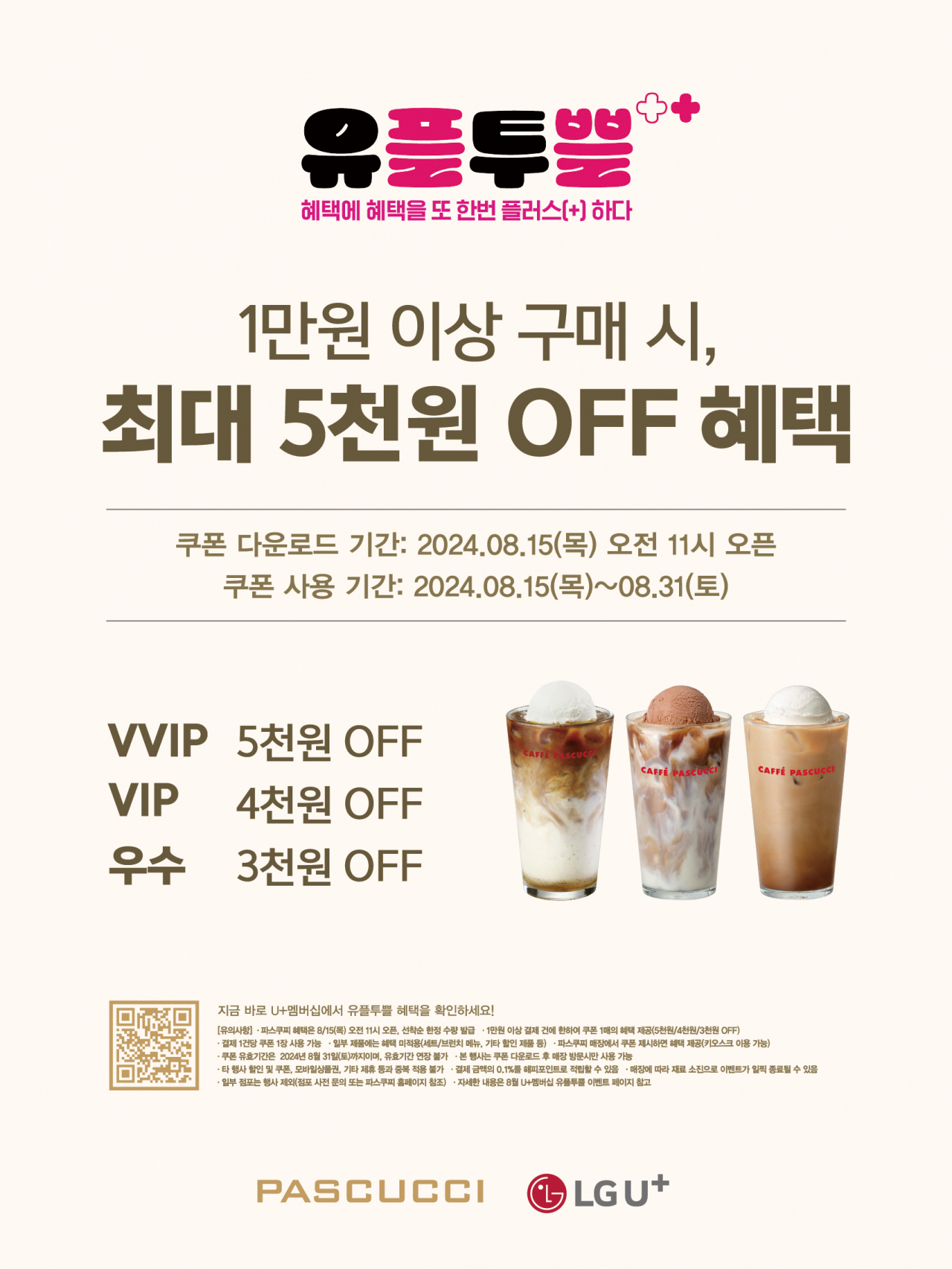 [파스쿠찌 제공]