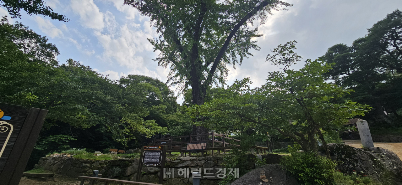 근현대사 눈물 간직한 강화도…최고(最古) 사찰 전등사 [정용식의 내 마음대로 사찰여행 비경 100선]