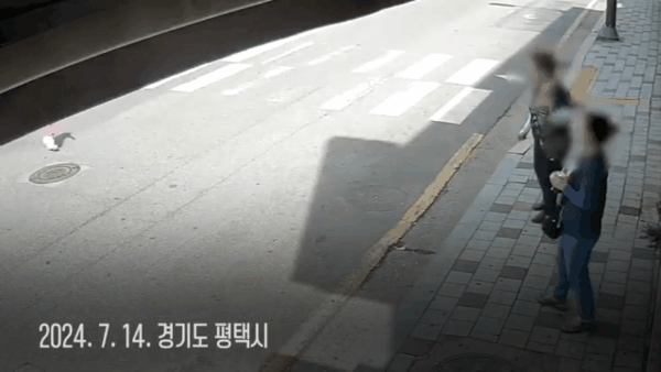 [유튜브 경기남부경찰]