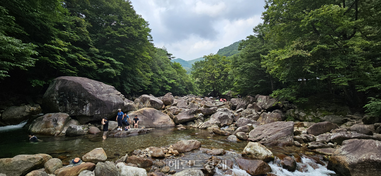 ‘단풍 명소’ 지리산 피아골…승병과 의병의 터 연곡사 [정용식의 내 마음대로 사찰여행 비경 100선]