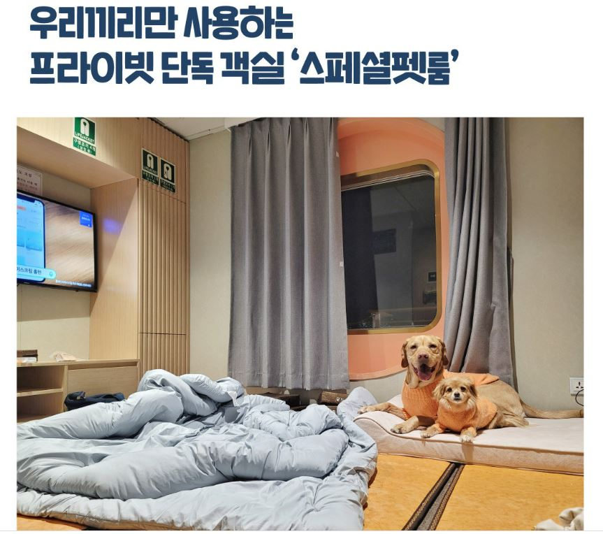 중·대형 반려견을 위한 여수·완도에서 페리를 타고 제주도로 이동하는 페리 상품 소개 사진. [반려생활 홈페이지 캡처]