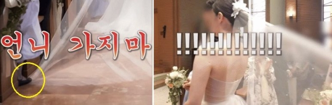 조민 유튜브