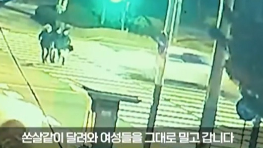 지난해 11월 22일 오전 6시 45분께 춘천시 퇴계동 남춘천역 인근 도로에서 80대 운전자가 신호를 위반해 과속운전 하다 횡단보도를 건너던 보행자 3명을 들이받았다. 이 사고로 피해자 3명이 모두 숨졌다. [연합뉴스TV 보도화면 캡처]