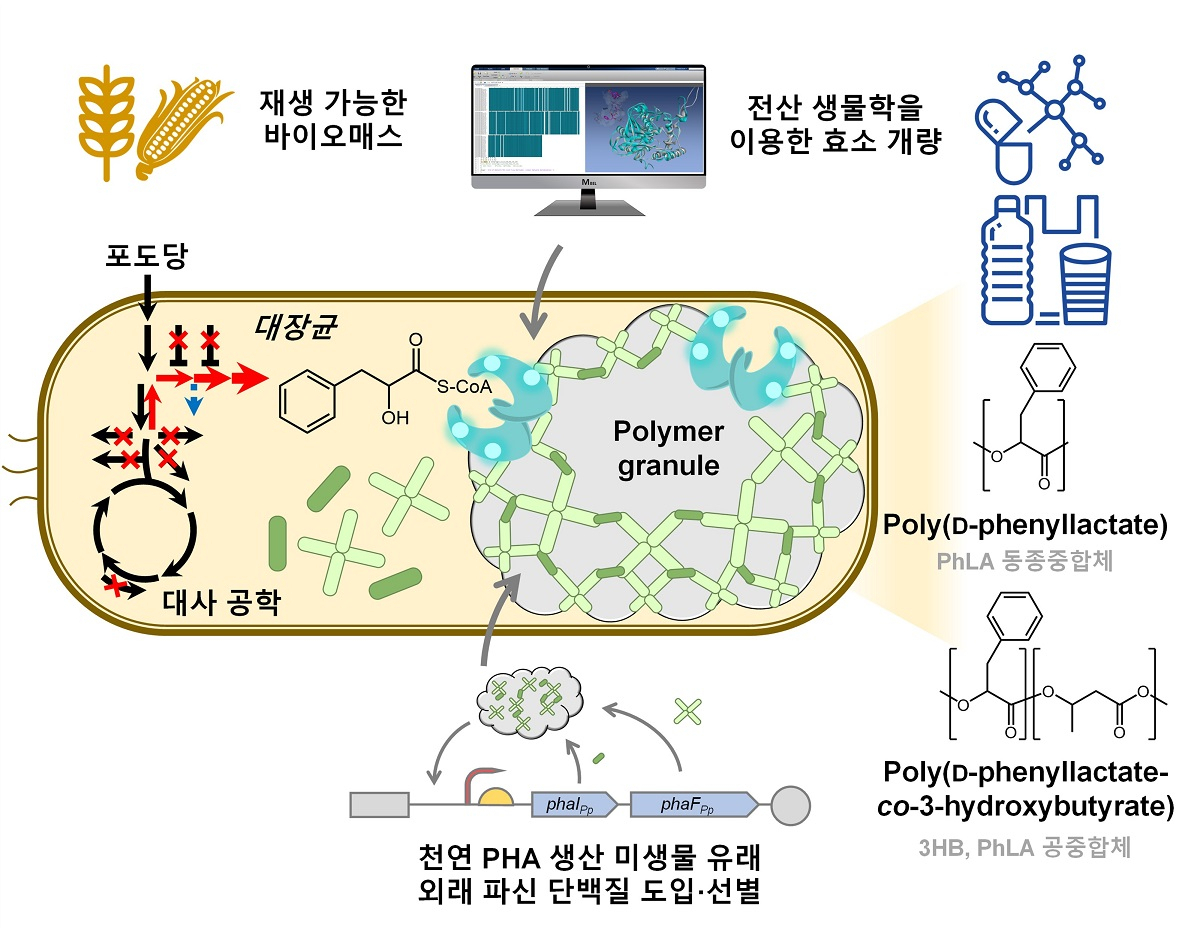 방향족 폴리에스터 생산 미생물 개발 전략.[KAIST 제공]