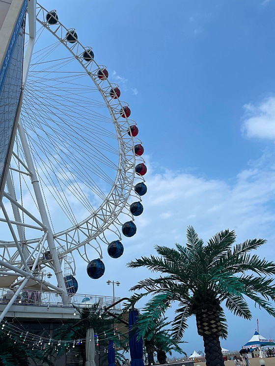 속초아이대관람차.[홈피 캡처]