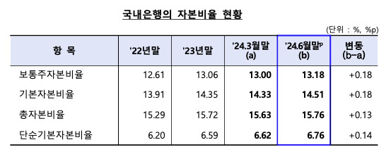 [금융감독원 자료]