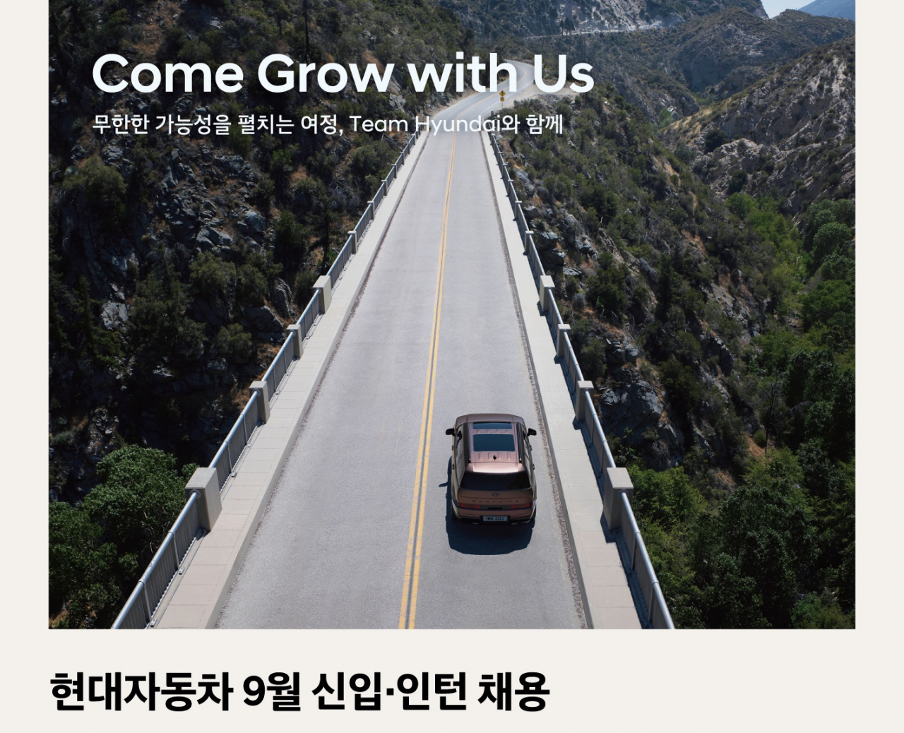 현대차, 9월 신입·인턴 채용 포스터. [현대차 제공]