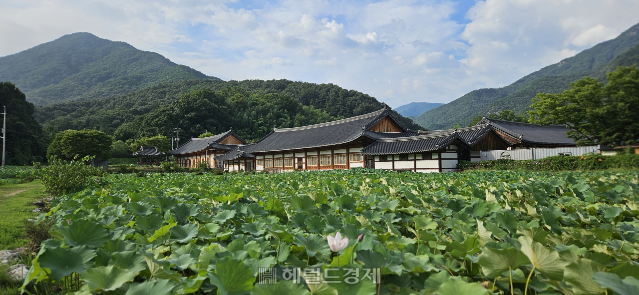 땀 흘리는 부처가 있는 곳…‘도심 속 안식처’ 완주 종남산 송광사 [정용식의 내 마음대로 사찰여행 비경 100선]