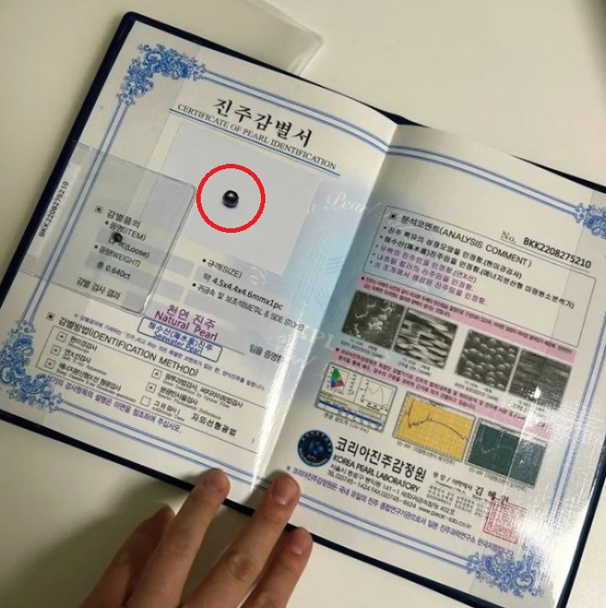 [수빙수 유튜브 채널]