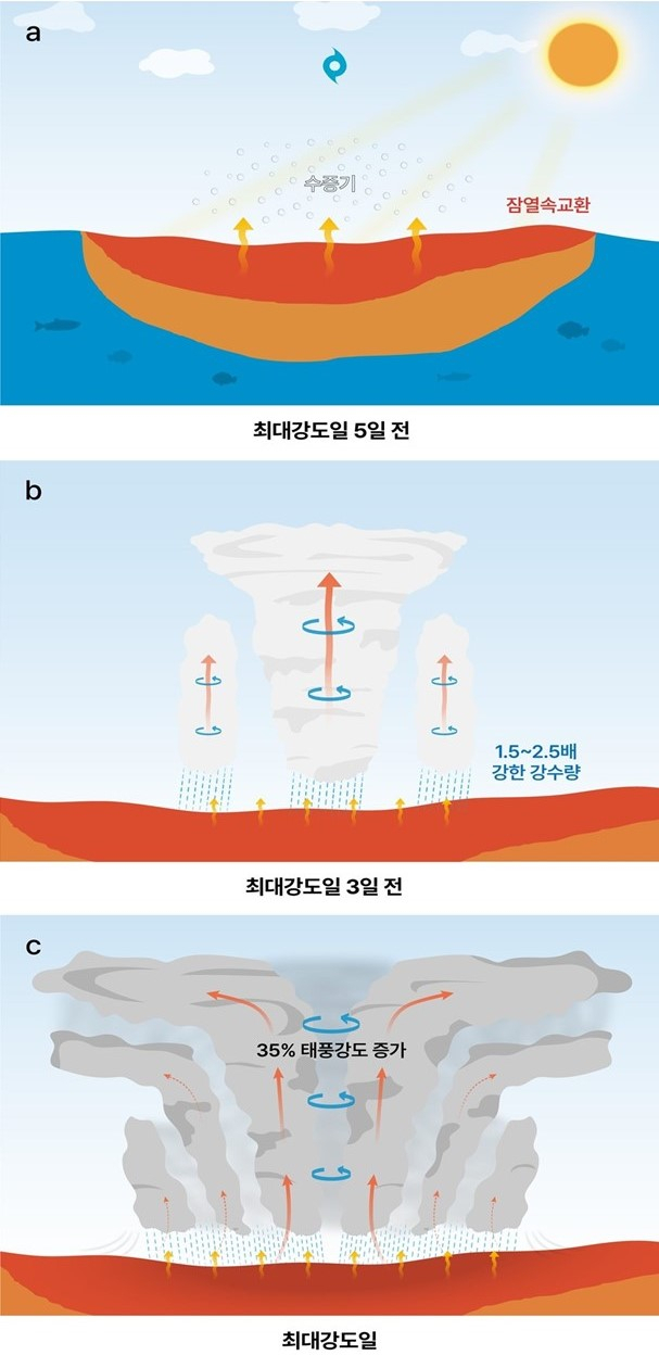 고수온이 태풍을 강화시키는 주요 메커니즘 도식도.[KIOST 제공]
